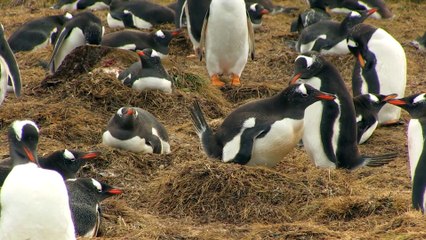 Fait gaffe à ta gueule