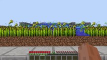 My Automatic Wheat Farm Minecraft 1.2.5