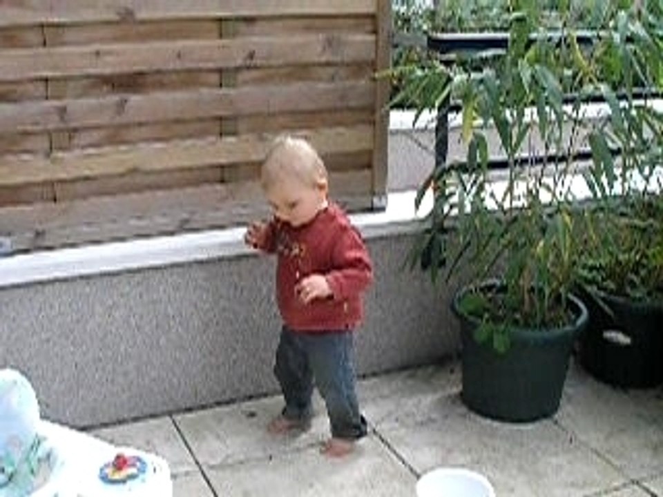 Raphael premiers pas