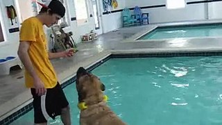 Little Swimmer (Spanky at 22 Months)