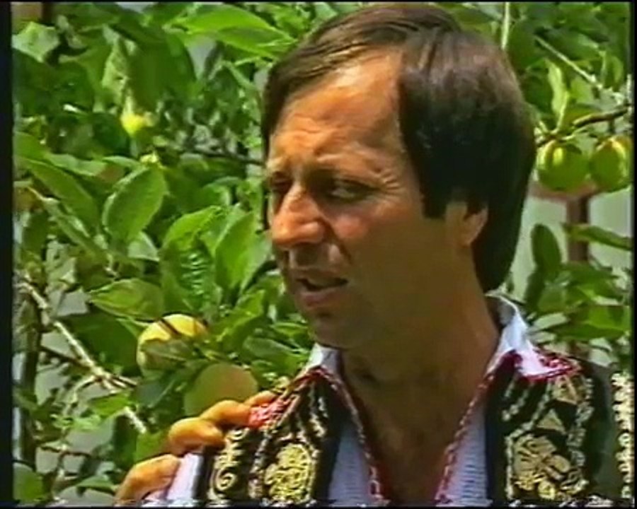 Braca Geljic - Najdrazi dan