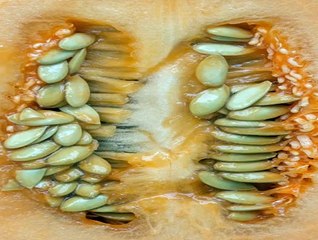 메이저카지노사이트 ゥ Supercar123.Com 가입코드6623