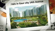 Affordable 14 Avenue Flats in Noida Extension