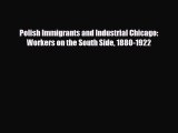 Read Books Polish Immigrants and Industrial Chicago: Workers on the South Side 1880-1922 E-Book