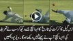 Chris gayle takes the most funny slip catch of cricket History
