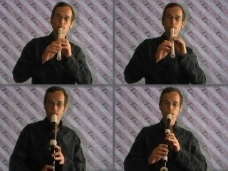 Le Noël des oiseaux - Nadal dels aucels