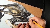 Trick Art, How I Draw a 3D Mammoth, Optical Illusion by Vamos