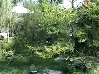 Tai Gone Wild! [part 2]