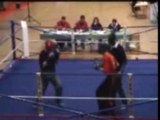 savate boxe française