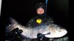 ФОТО. Spearfishing. 29 kg silver carp..Толстолобик 29 кг