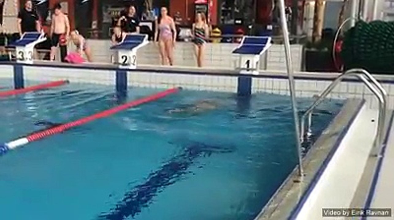 Un nageur norvégien nage à l'envers dans la piscine de Drammen