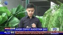 Ahok Copot Kadistam DKI Terkait Penemuan Makam Fiktif