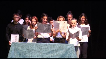 EVEM2016 : "Coeurs de cailloux" par le collège Gaston Ramon d'Audun le Roman