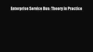 Read Enterprise Service Bus: Theory in Practice Ebook Online
