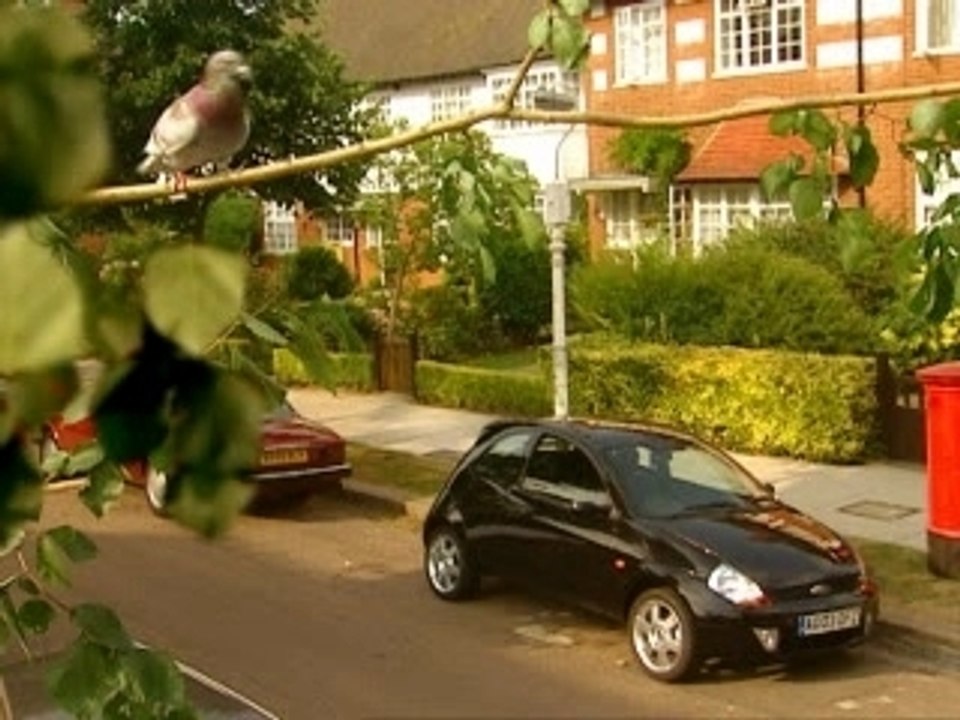 Humour - pub ford