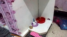 Casinha do cachorro e gato da Barbie que eu mesma fis