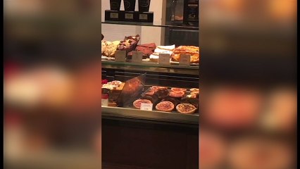 Des rats filmés dans la vitrine d'une boulangerie à Gare de Lyon (Paris)