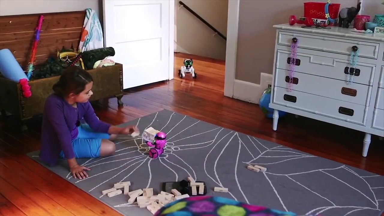 Electronic Dog