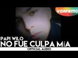 Papi Wilo No fue culpa mía