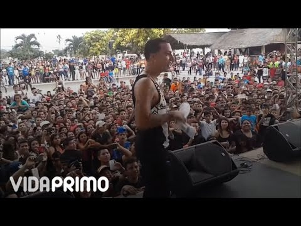 Papi Wilo en vivo