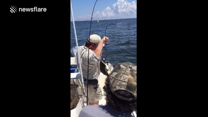 Boater rescues sea turtle in Florida