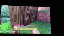 Minecraft PS3 lets play survival series episode#1