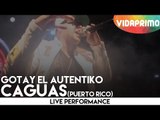 Gotay El Autentiko - Caguas (Puerto Rico) [Live]