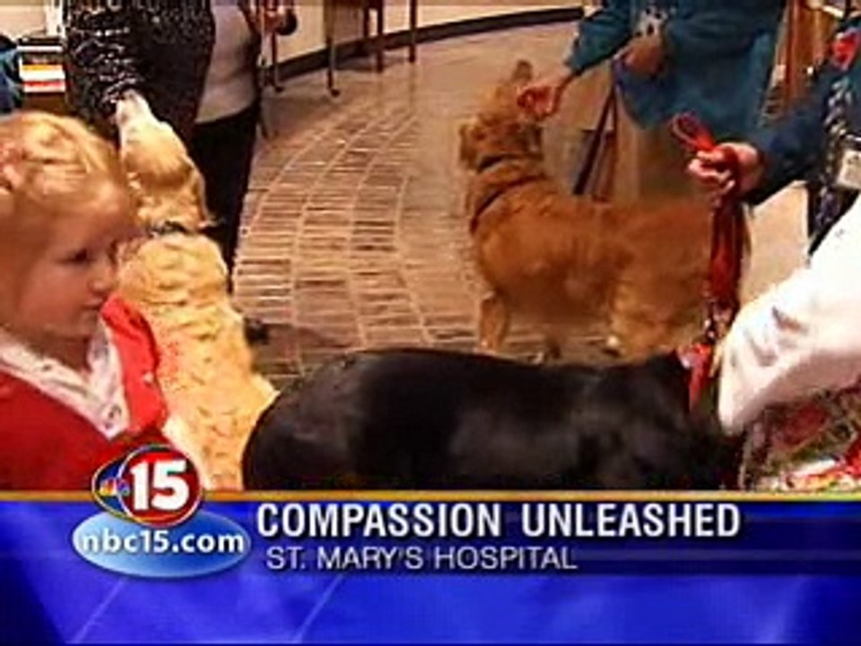 Pet therapy turns 5 Frank Byrne Dan Darmstadter NBC15 5-28-09 10p