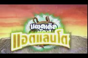 โปรโมชั่นไม้แพดเดิลป๊อป 2 ไม้ แลกฟรี การ์ดพลังวันพีซ 1 ใบ (มี 108 ใบให้สะสม)