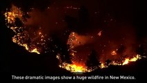 Wildfire rips through New Mexico forcing people to evacuate