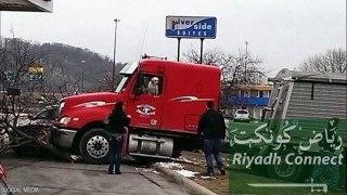 صحيفة سبق: كلب يقود شاحنة صاحبه ويدمر موقف سيارات