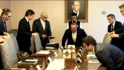 Dışişleri Bakanı Çavuşoğlu'nun Kabulü