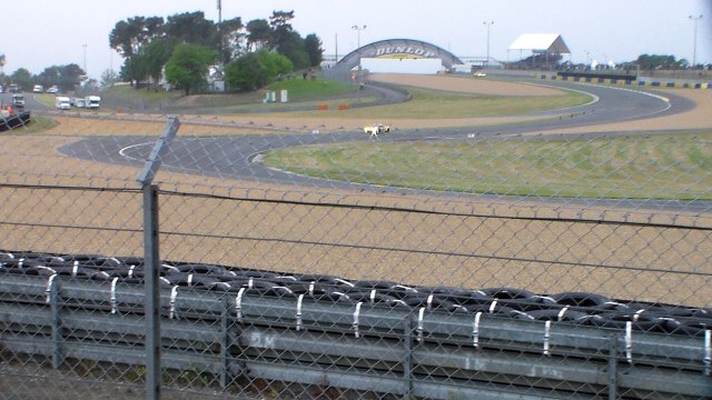 24 heures du mans 2016 journee test corvette c7r#64