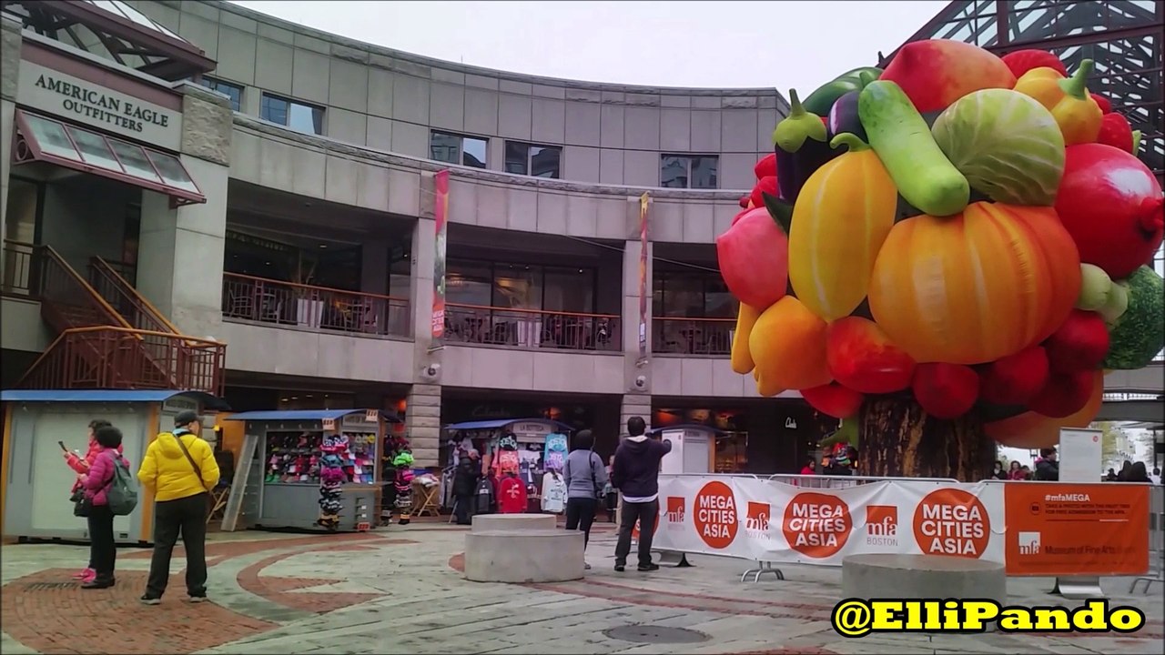 Boston Harbor Islands | Georges Island Tour | Free Ferry Day