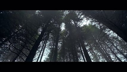 Les Gros Mots pour Coyote - «Rejoignez la meute» - juin 2016