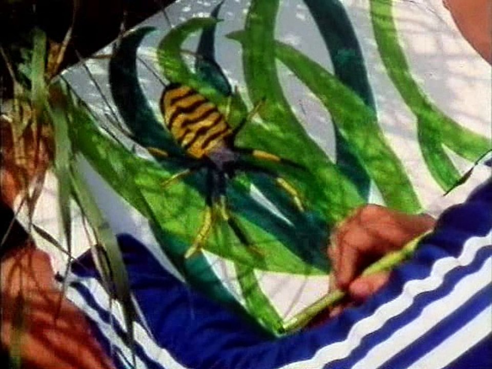 Loewenzahn  S04E02 - eine insel im kornfeld