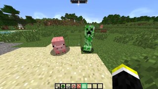 ✔ Minecraft: 5 Things You Didn't Know About the Creeper