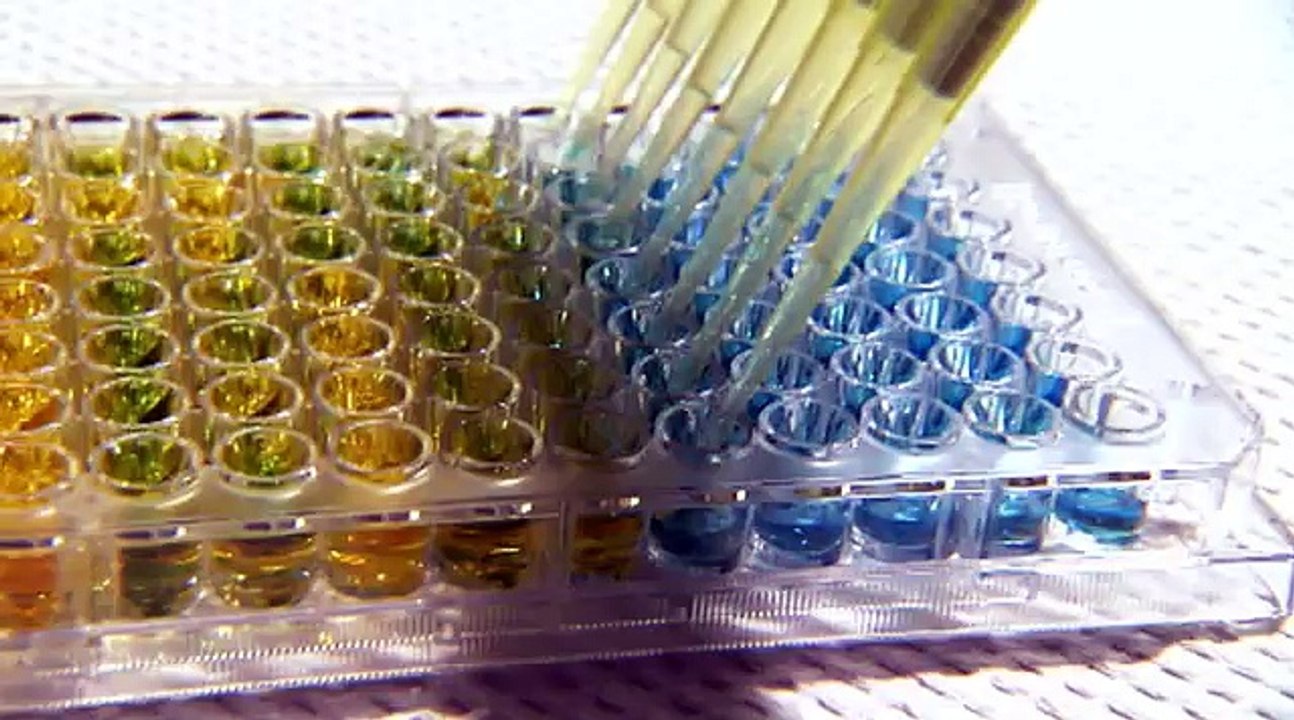 Erkekler Hakkında Herşey - National Geographic Belgeseli