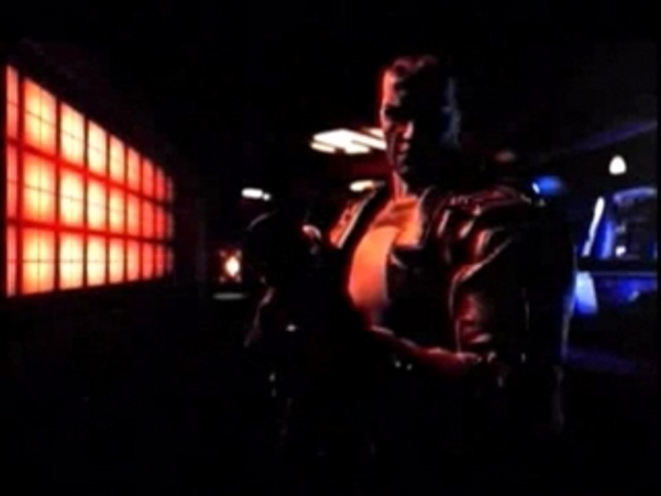 THE PUNISHER