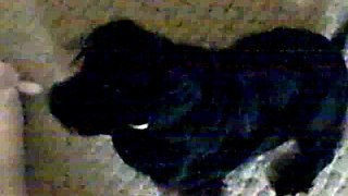 Oct 26 2008   VID00026