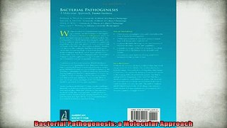 FREE DOWNLOAD  Bacterial Pathogenesis a Molecular Approach  DOWNLOAD ONLINE