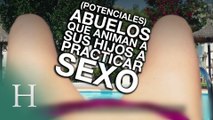 (Potenciales) abuelos que incitan a practicar sexo