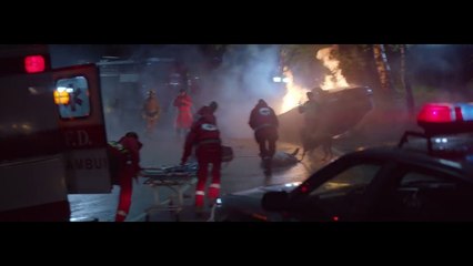 La vidéo émouvante de la Fondation 30 Millions d’Amis vous brisera le coeur