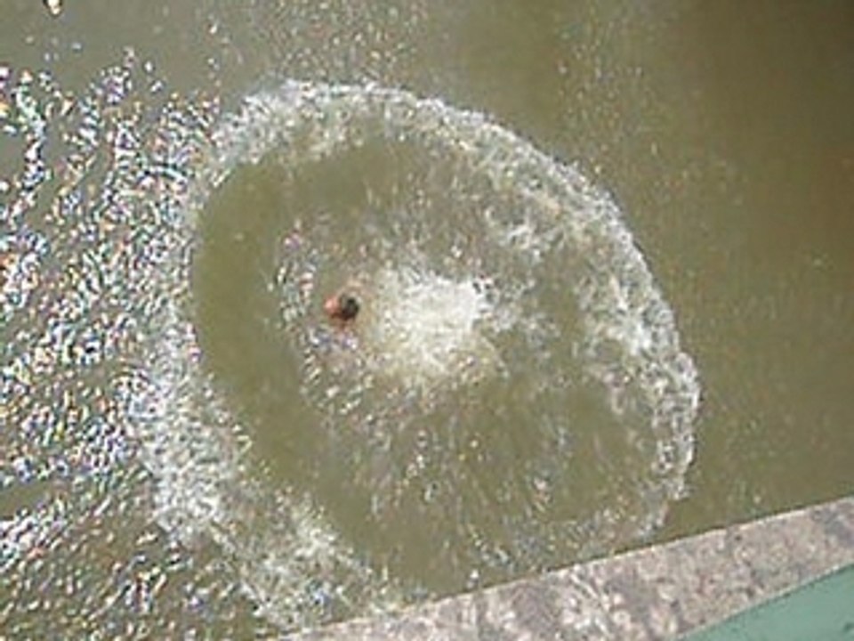 un pla ki fé tré mal