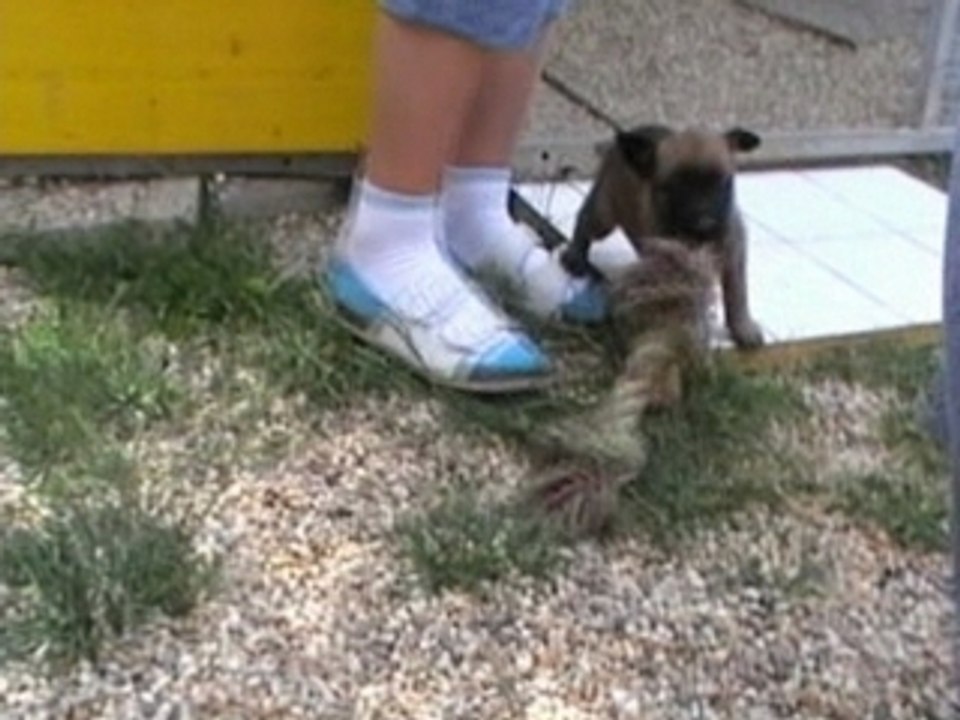 A-Wurf Kinderbesuch 08.07.2007