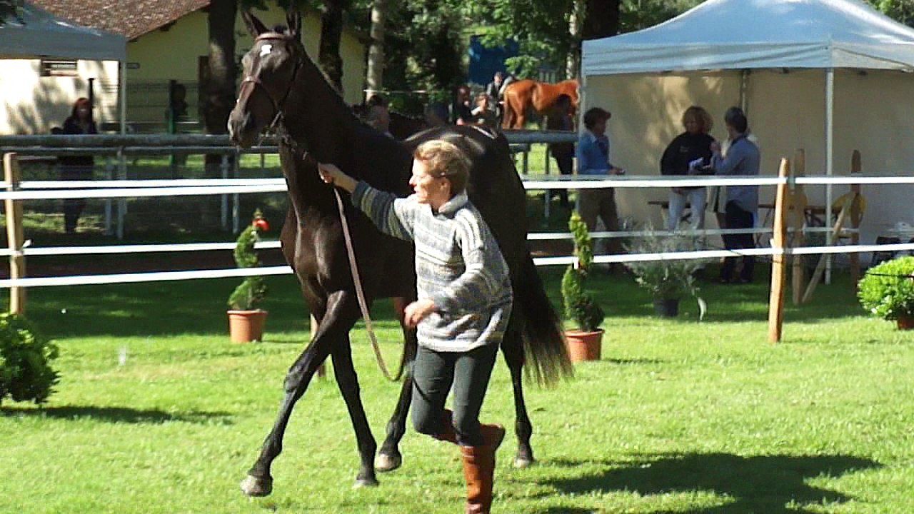 eau gazeuse Paray le Monial Juin 2016