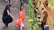 Ravindra Jadeja faces probe over lion selfie -17 June 2016
