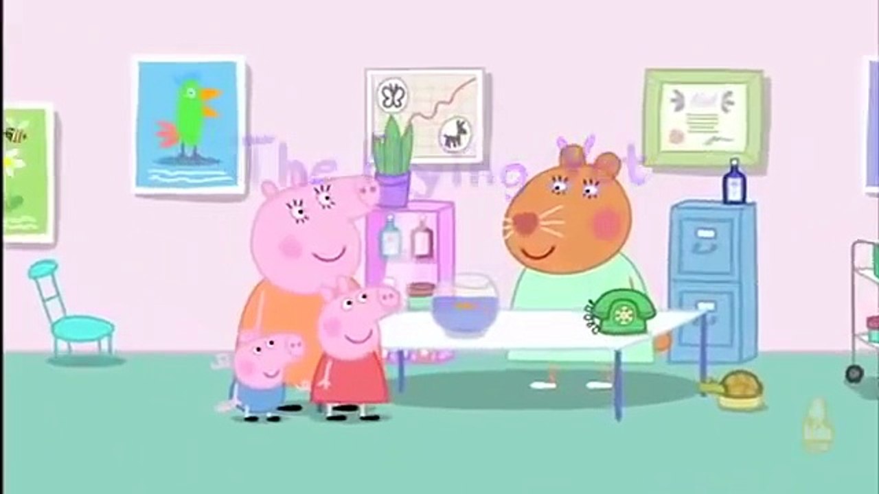 Peppa Pig Series 5 The Flying Vet