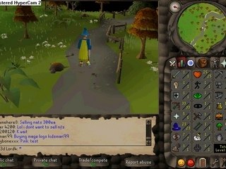 rune scape rock crabs