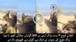 Afghan Army Solider Get Hit By Pak Army Solider While Firing Bullets